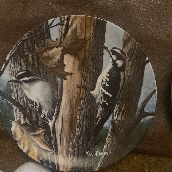 Collector plates Encyclopedia Britannica Birds of your Garden set of 4 - Picture 4 of 9